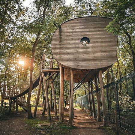Tree Inn - Das Baumhaushotel Dörverden Exteriér fotografie