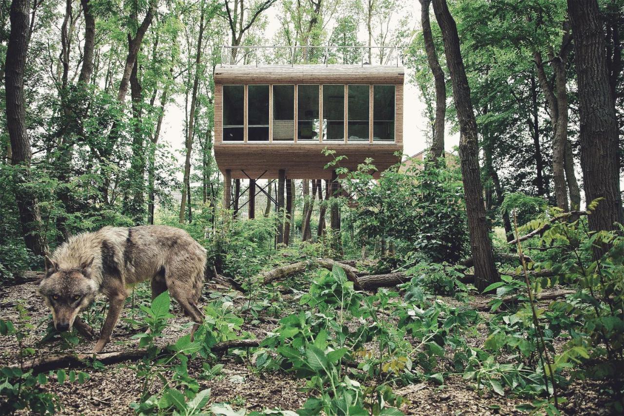 Tree Inn - Das Baumhaushotel Dörverden Exteriér fotografie