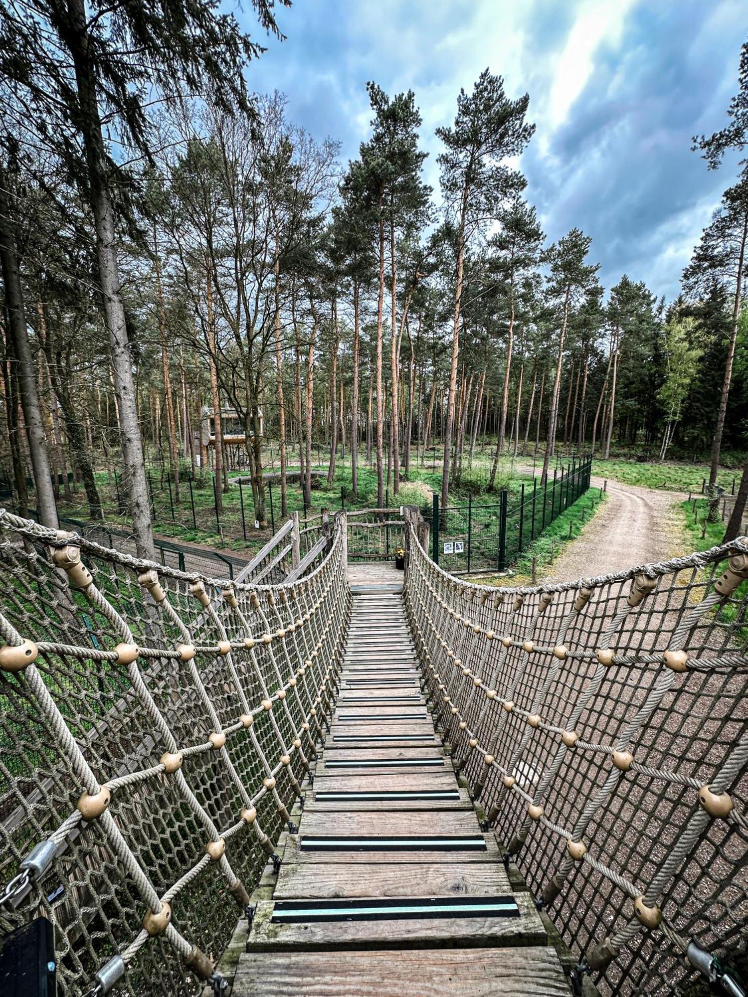 Tree Inn - Das Baumhaushotel Dörverden Exteriér fotografie