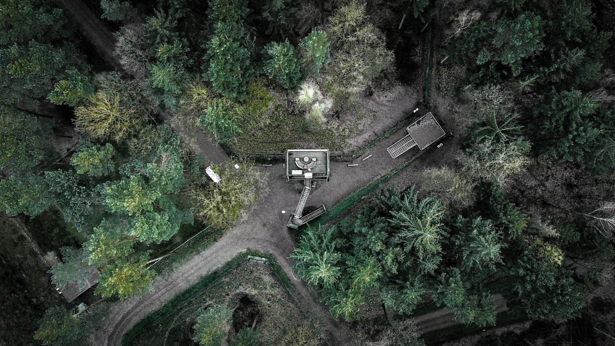 Tree Inn - Das Baumhaushotel Dörverden Exteriér fotografie