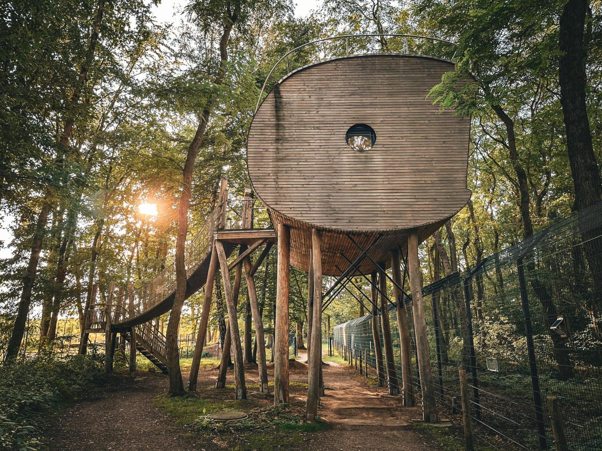 Tree Inn - Das Baumhaushotel Dörverden Exteriér fotografie