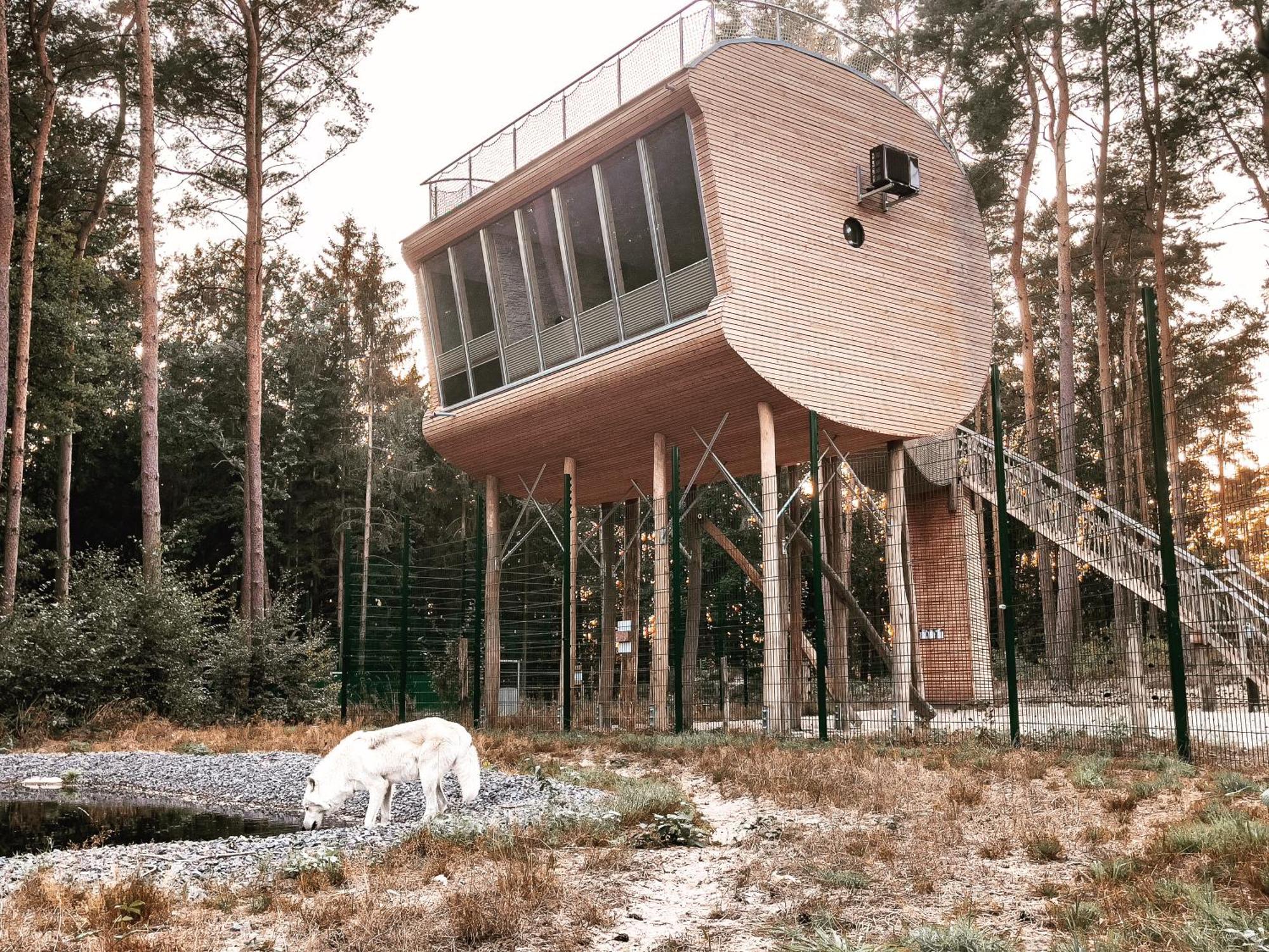 Tree Inn - Das Baumhaushotel Dörverden Exteriér fotografie
